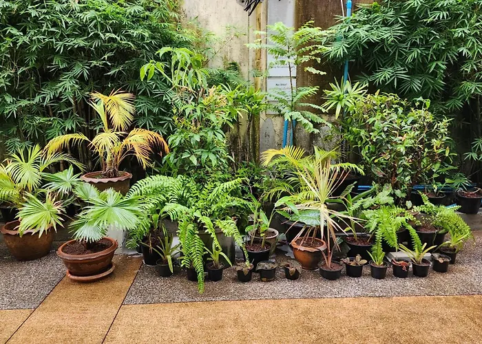 Irest Ao Nang Hostel
